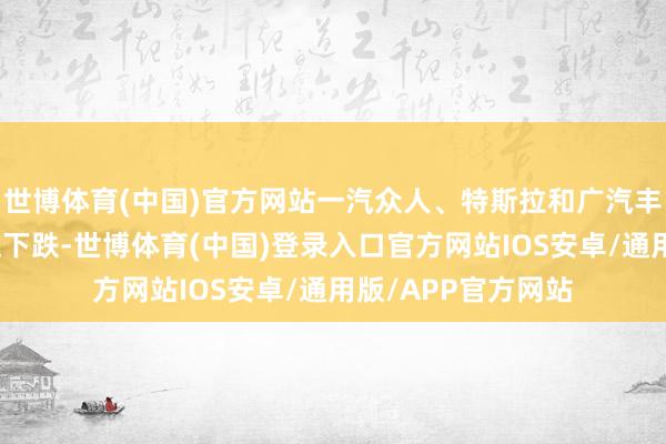 世博体育(中国)官方网站一汽众人、特斯拉和广汽丰田销量呈不同经过下跌-世博体育(中国)登录入口官方网站IOS安卓/通用版/APP官方网站