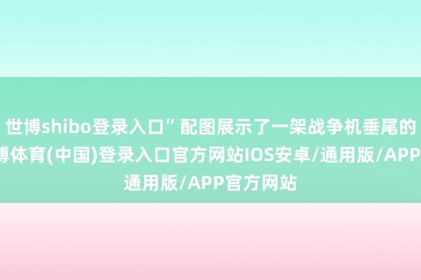 世博shibo登录入口”配图展示了一架战争机垂尾的涂装-世博体育(中国)登录入口官方网站IOS安卓/通用版/APP官方网站