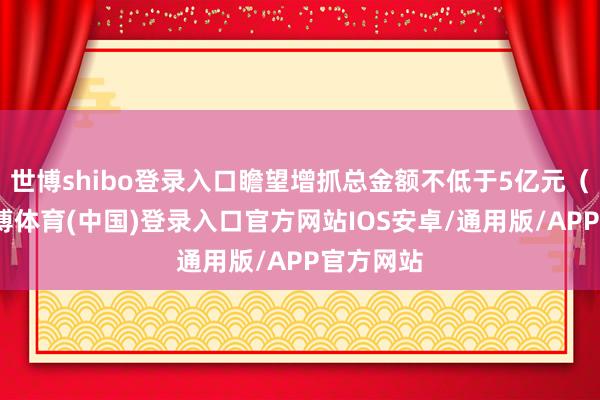 世博shibo登录入口瞻望增抓总金额不低于5亿元（含）-世博体育(中国)登录入口官方网站IOS安卓/通用版/APP官方网站