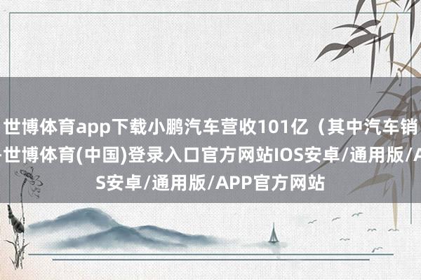 世博体育app下载小鹏汽车营收101亿（其中汽车销售额88亿）-世博体育(中国)登录入口官方网站IOS安卓/通用版/APP官方网站