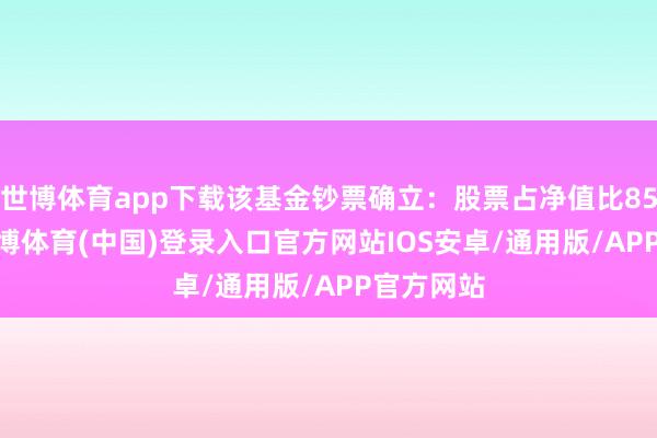 世博体育app下载该基金钞票确立：股票占净值比85.44%-世博体育(中国)登录入口官方网站IOS安卓/通用版/APP官方网站