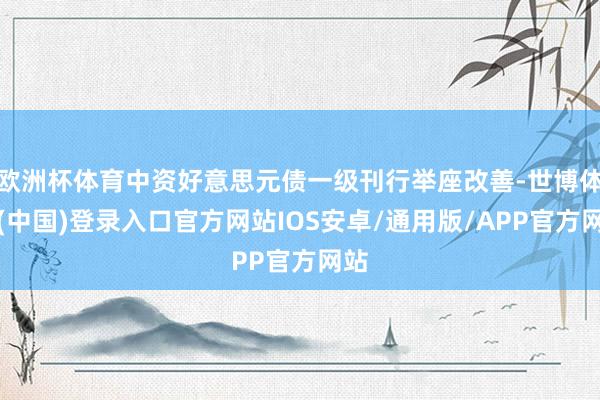 欧洲杯体育中资好意思元债一级刊行举座改善-世博体育(中国)登录入口官方网站IOS安卓/通用版/APP官方网站