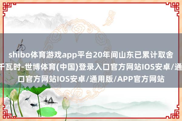 shibo体育游戏app平台20年间山东已累计取舍省外回电1.22万亿千瓦时-世博体育(中国)登录入口官方网站IOS安卓/通用版/APP官方网站