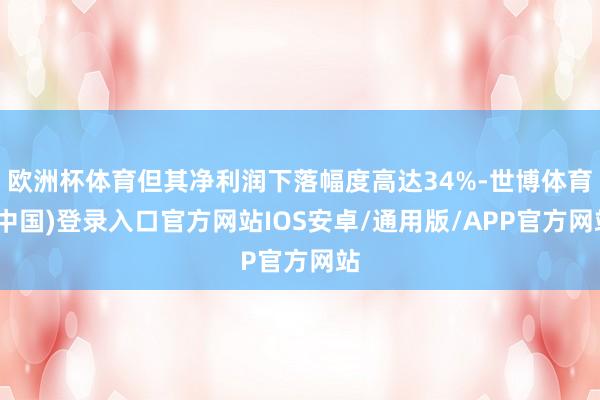 欧洲杯体育但其净利润下落幅度高达34%-世博体育(中国)登录入口官方网站IOS安卓/通用版/APP官方网站